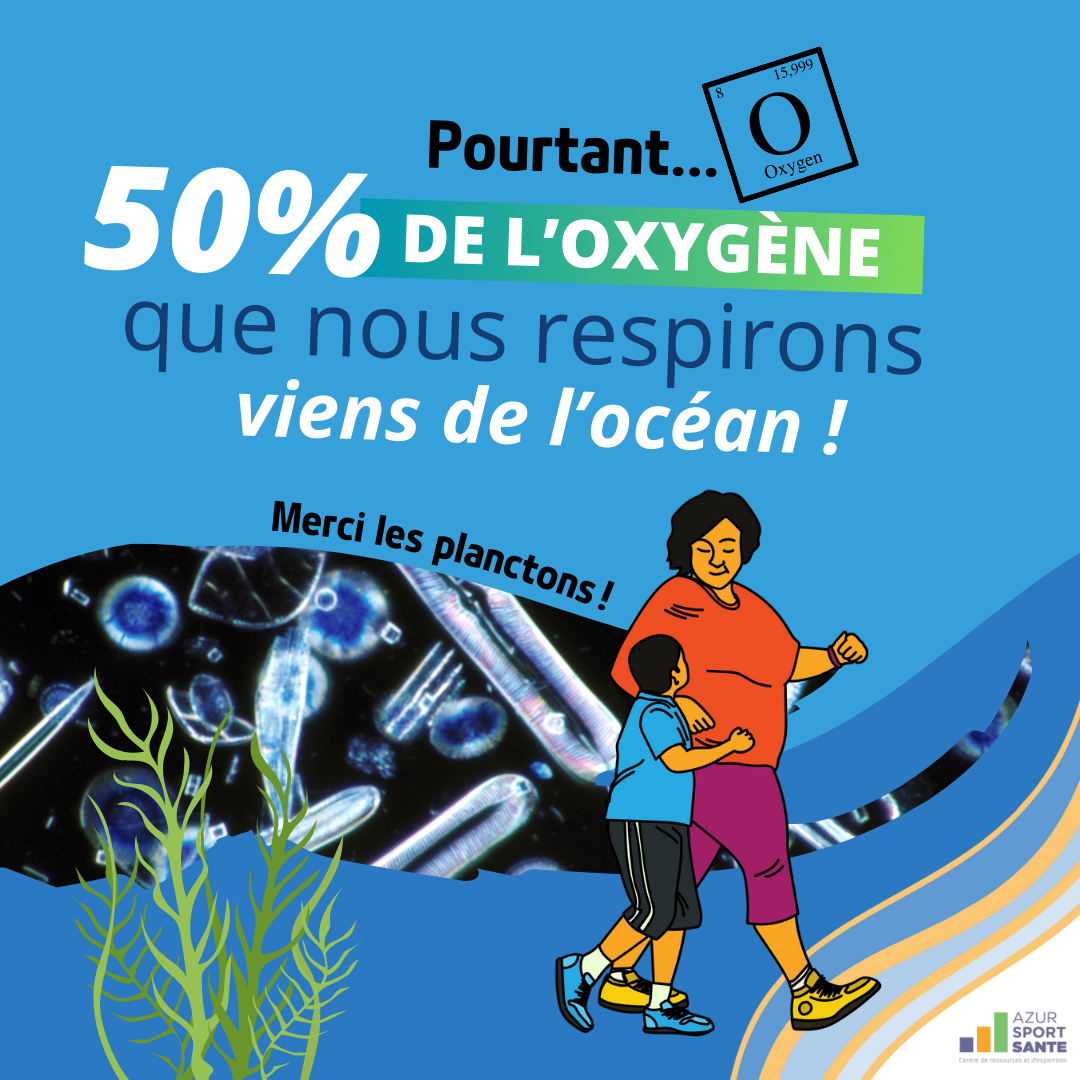 50% de l'oxygène que nous respirons viens de l'océan