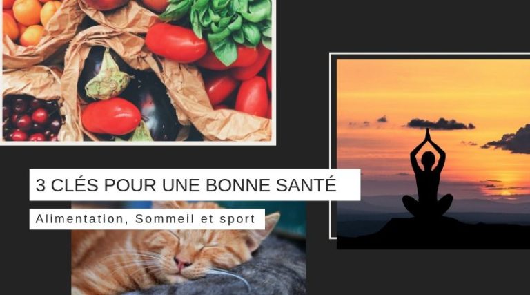 Alimentation, sommeil, sport : comment bien reprendre le rythme à la rentrée ?